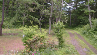 長野県菅平高原 ゆたか山荘 坂上 2026/06/19 12:15