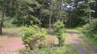 長野県菅平高原 ゆたか山荘 坂上 2026/06/19 12:30