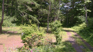 長野県菅平高原 ゆたか山荘 坂上 2026/06/19 12:45