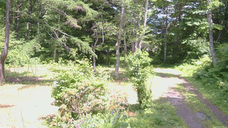 長野県菅平高原 ゆたか山荘 坂上 2026/06/19 13:00