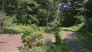 長野県菅平高原 ゆたか山荘 坂上 2026/06/19 13:15