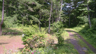 長野県菅平高原 ゆたか山荘 坂上 2026/06/19 13:30
