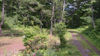 長野県菅平高原 ゆたか山荘 坂上 2026/06/19 13:45