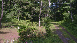 長野県菅平高原 ゆたか山荘 坂上 2026/06/19 14:15