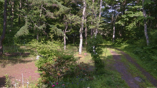 長野県菅平高原 ゆたか山荘 坂上 2026/06/19 15:00