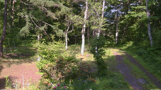 長野県菅平高原 ゆたか山荘 坂上 2026/06/19 15:15