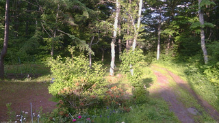 長野県菅平高原 ゆたか山荘 坂上 2026/06/19 17:15