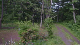 長野県菅平高原 ゆたか山荘 坂上 2026/06/19 18:00
