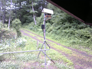 長野県菅平高原 ゆたか山荘 南側 2026/06/20 13:30