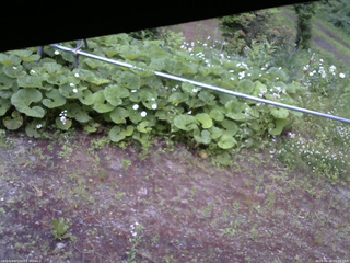 長野県菅平高原 ゆたか山荘 駐車場 2026/06/20 05:00