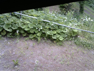 長野県菅平高原 ゆたか山荘 駐車場 2026/06/20 09:00