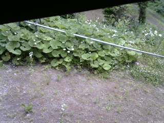 長野県菅平高原 ゆたか山荘 駐車場 2026/06/20 10:30