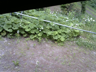 長野県菅平高原 ゆたか山荘 駐車場 2026/06/20 12:30