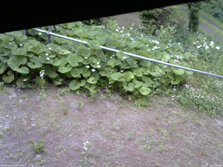 長野県菅平高原 ゆたか山荘 駐車場 2026/06/20 12:45