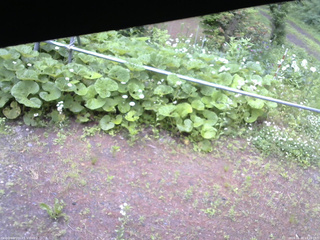 長野県菅平高原 ゆたか山荘 駐車場 2026/06/20 13:15