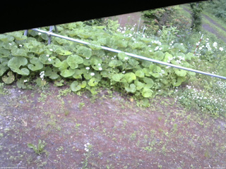 長野県菅平高原 ゆたか山荘 駐車場 2026/06/20 13:45