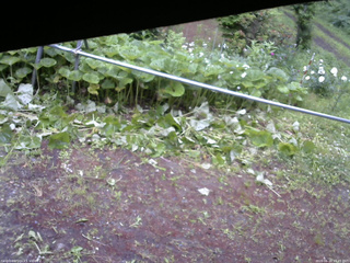 長野県菅平高原 ゆたか山荘 駐車場 2026/06/20 15:45