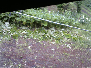長野県菅平高原 ゆたか山荘 駐車場 2026/06/20 16:00