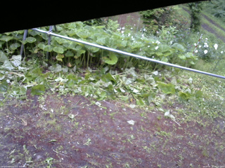 長野県菅平高原 ゆたか山荘 駐車場 2026/06/20 16:15