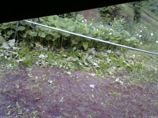 長野県菅平高原 ゆたか山荘 駐車場 2026/06/20 18:15