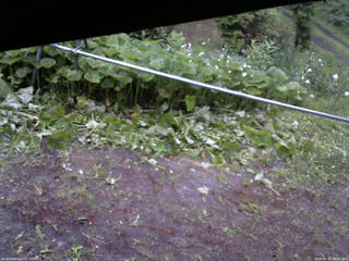 長野県菅平高原 ゆたか山荘 駐車場 2026/06/20 18:45