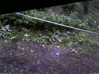 長野県菅平高原 ゆたか山荘 駐車場 2026/06/20 19:00