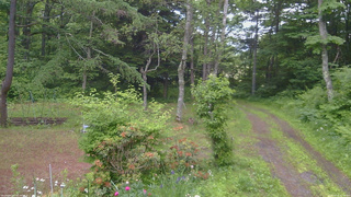 長野県菅平高原 ゆたか山荘 坂上 2026/06/20 05:00