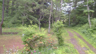 長野県菅平高原 ゆたか山荘 坂上 2026/06/20 05:15