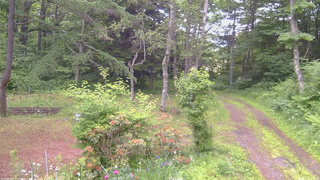 長野県菅平高原 ゆたか山荘 坂上 2026/06/20 05:30