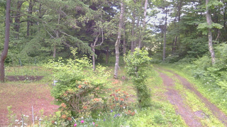 長野県菅平高原 ゆたか山荘 坂上 2026/06/20 05:45