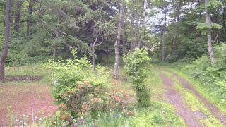 長野県菅平高原 ゆたか山荘 坂上 2026/06/20 06:00