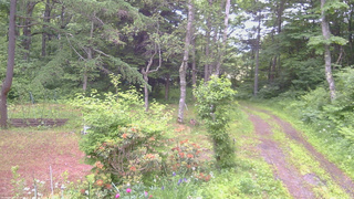 長野県菅平高原 ゆたか山荘 坂上 2026/06/20 06:15
