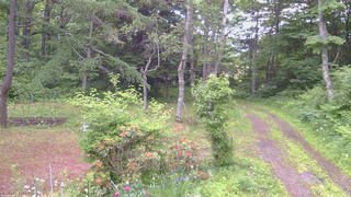 長野県菅平高原 ゆたか山荘 坂上 2026/06/20 06:30