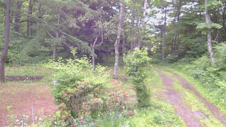 長野県菅平高原 ゆたか山荘 坂上 2026/06/20 06:45