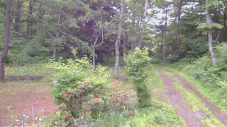 長野県菅平高原 ゆたか山荘 坂上 2026/06/20 07:00