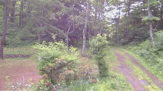 長野県菅平高原 ゆたか山荘 坂上 2026/06/20 07:15