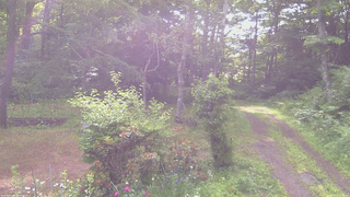 長野県菅平高原 ゆたか山荘 坂上 2026/06/20 07:30
