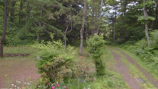 長野県菅平高原 ゆたか山荘 坂上 2026/06/20 08:15