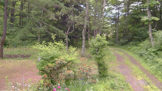 長野県菅平高原 ゆたか山荘 坂上 2026/06/20 08:30