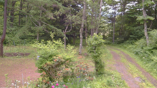 長野県菅平高原 ゆたか山荘 坂上 2026/06/20 08:45