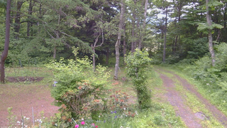 長野県菅平高原 ゆたか山荘 坂上 2026/06/20 09:15