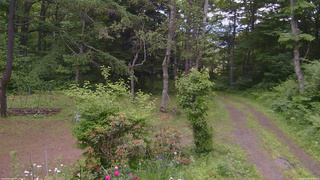 長野県菅平高原 ゆたか山荘 坂上 2026/06/20 09:45