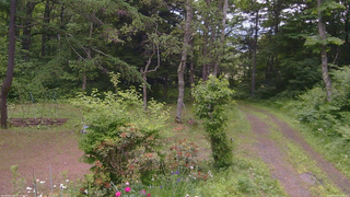 長野県菅平高原 ゆたか山荘 坂上 2026/06/20 10:00