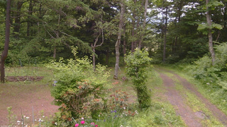 長野県菅平高原 ゆたか山荘 坂上 2026/06/20 10:30