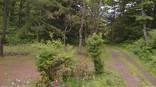 長野県菅平高原 ゆたか山荘 坂上 2026/06/20 10:45