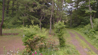 長野県菅平高原 ゆたか山荘 坂上 2026/06/20 11:00