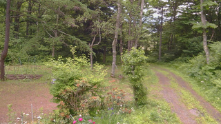 長野県菅平高原 ゆたか山荘 坂上 2026/06/20 11:15