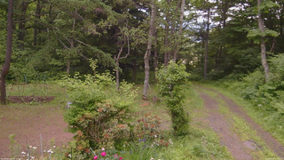 長野県菅平高原 ゆたか山荘 坂上 2026/06/20 11:30