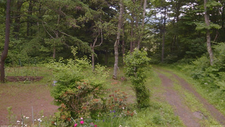 長野県菅平高原 ゆたか山荘 坂上 2026/06/20 12:00