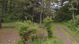 長野県菅平高原 ゆたか山荘 坂上 2026/06/20 12:15